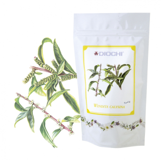 Wendita Calysina burrito Diochi - 80 g