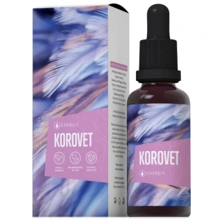 Korovet ENERGY