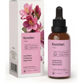 Korolen Energy 